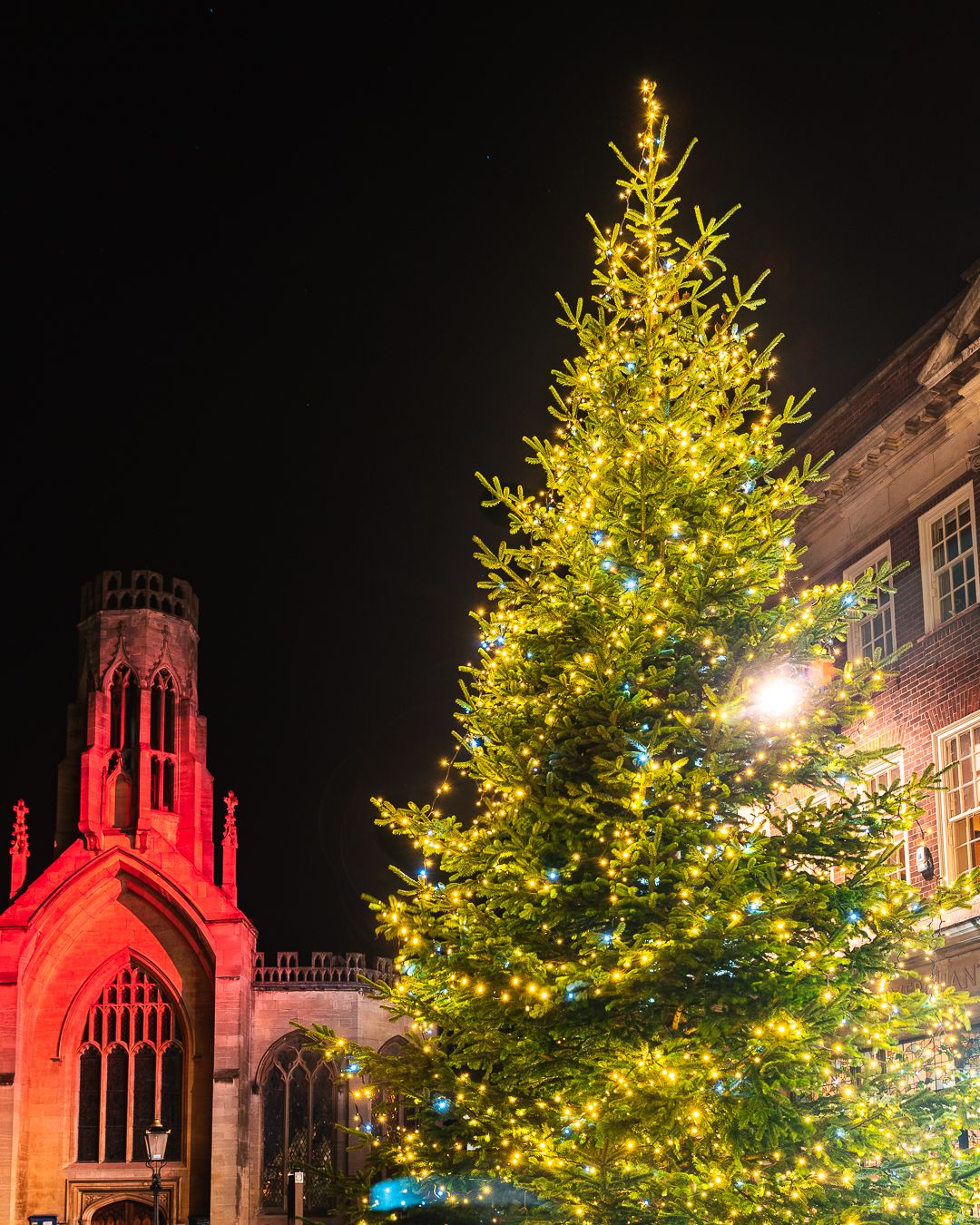 Christmas tree in York city centre